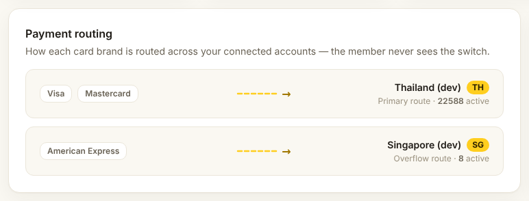 The payment routing card on the dashboard
